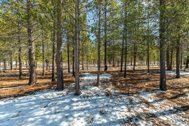 Birchwood_03