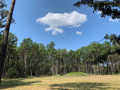 25692 Joseph Rd, Hockley, TX 77447 - photo 2