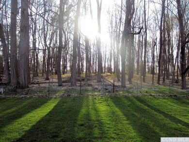 Beautiful wooded view