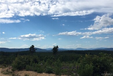 000 Martin Kings Rd, Charlottesville, VA 22902 - photo 3