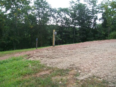 1442 Feller Dr, Levels, WV 25431 - photo 4