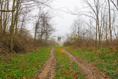 153 County Road 3, Mount Pleasant Township, OH 43943 - photo 5