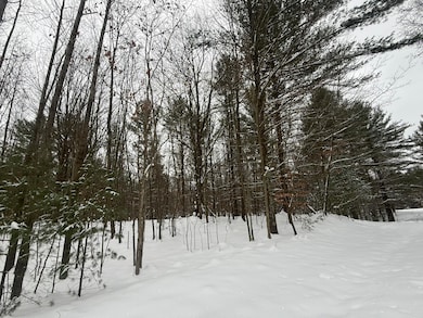 3.75 Acres Wayne Rd, Pentwater, MI 49449 - photo 3