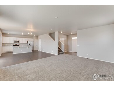 6915 Grainery Ct, Timnath, CO 80547 - photo 4