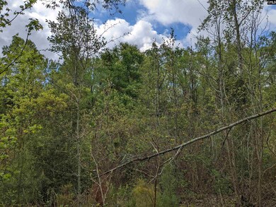 2206 Highway 1 S, Elgin, SC 29045 - photo 7