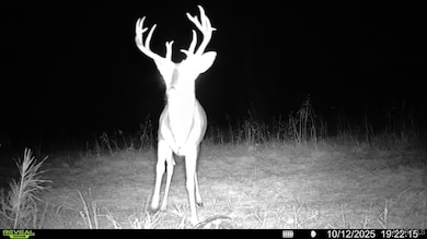 1300 Coosa County Road 71, Kellyton, AL 35089 - photo 2