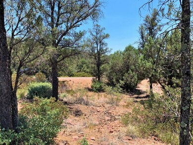 802 N Thunder Ridge Circle (4)