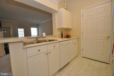 4550 Strutfield Ln unit 2316, Alexandria, VA 22311 - photo 6