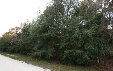 TBD NW Open Ct, Lake City, FL 32055 - photo 4