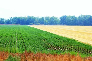 690 & 698 Hale Rd, Weiser, ID 83672 - photo 7