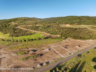 DJI_20250717100346_0914_D