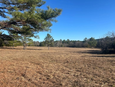 0000 E Greasy Bend Rd, Stringtown, OK 74569 - photo 2