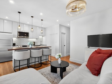 217 Boylston St unit 3, Jamaica Plain, MA 02130 - photo 3