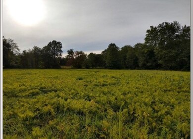 0 Pleasant St, Granby, MA 01033 - photo 2