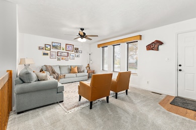 245 S Main St, Mona, UT 84645 - photo 3