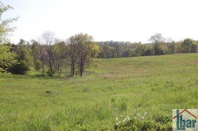 3742 Cummins Ferry Rd, Versailles, KY 40383 - photo 4