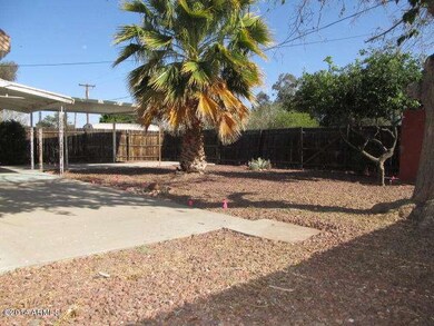 023-228691 -  backyard three
