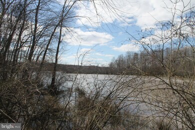 0 Governors Point Ln unit 1002371518, Unionville, VA 22567 - photo 4