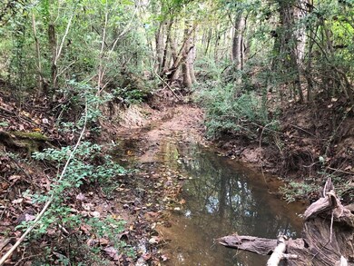 81.15 ac U S 59, Nacogdoches, TX 75965 - photo 5