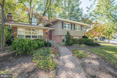 1006 Strout St, Silver Spring, MD 20901 - photo 5