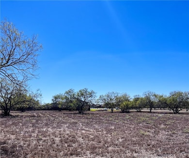 Lot 10 Fm 3376, Alice, TX 78332 - photo 2