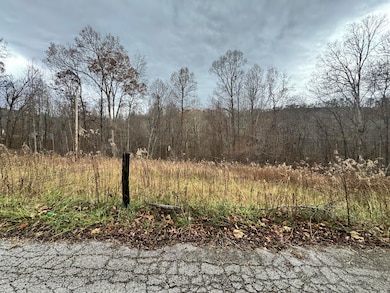 7099 Furnace Rd, Stanton, KY 40380 - photo 4