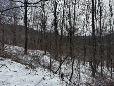 Tract 3 Big Spring of Elk