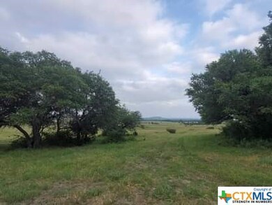 Lot 47 Cottonwood Mesa Dr, Kempner, TX 76539 - photo 4