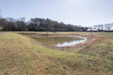 9651 Tennessee 142, Stantonville, TN 38379 - photo 6