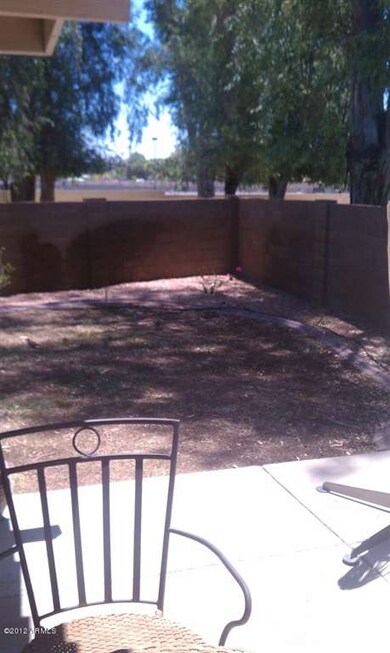 Back Yard 2