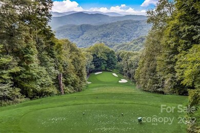 377 McKinney Gap Dr unit 377, Mars Hill, NC 28754 - photo 4