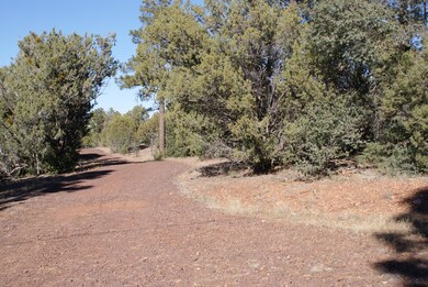 Maintained Cinder Roads