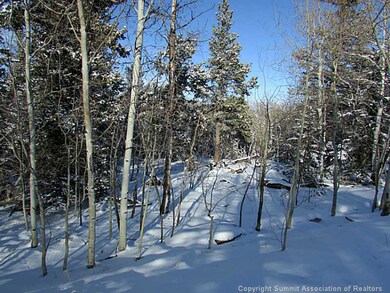 191 Smith and Wesson Rd, Como, CO 80432 - photo 2