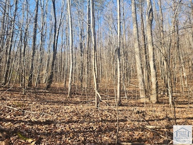 00 Woolwine Hwy, Woolwine, VA 24185 - photo 2