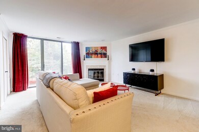 951 S Scott St unit 2, Arlington, VA 22204 - photo 4