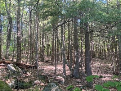 0 Baldwin Ave unit 7 4911642, New Hampton, NH 03256 - photo 6