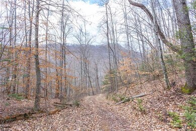 Go Hiking On Your Own Property