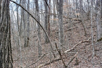 0 Tbd Ar-16, Pettigrew, AR 72752 - photo 6