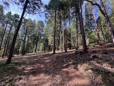 646 Dean Way, Arnold, CA 95223 - photo 3