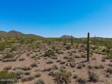 East View to Lone Mountain