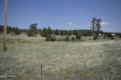 0 Cr 2275 1 22 Acre unit 248078, Nutrioso, AZ 85932 - photo 2