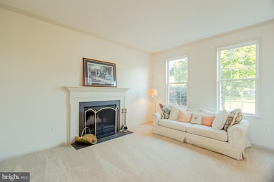 7716 White Willow Ct, Springfield, VA 22153 - photo 3