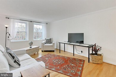 2943 S Dinwiddie St unit B1, Arlington, VA 22206 - photo 6