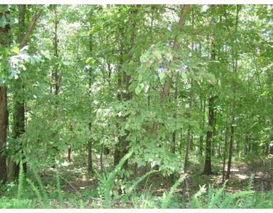 0 Ilford (Lot 23) Ln unit 549726, Bella Vista, AR 72714 - photo 5