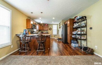 724 Decatur St, Lincoln, IL 62656 - photo 4