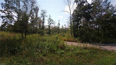 Beck Rd west side of Rd facing north wooded view