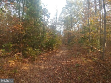 0 Carsons Corner unit 1000091757, Louisa, VA 23093 - photo 2