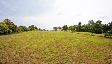 IMG_6940