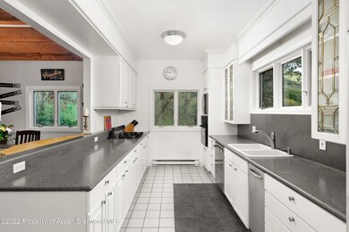 540 Upper Ranch Rd, Aspen, CO 81611 - photo 5