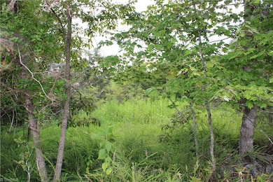 00 Ralph Joyce Rd, Sandy Ridge, NC 27046 - photo 4